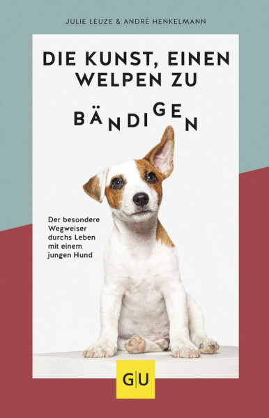 Die Kunst einen Welpen zu bändigen