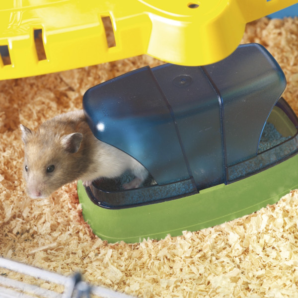 Hamstertoilette und Toilettenstreu