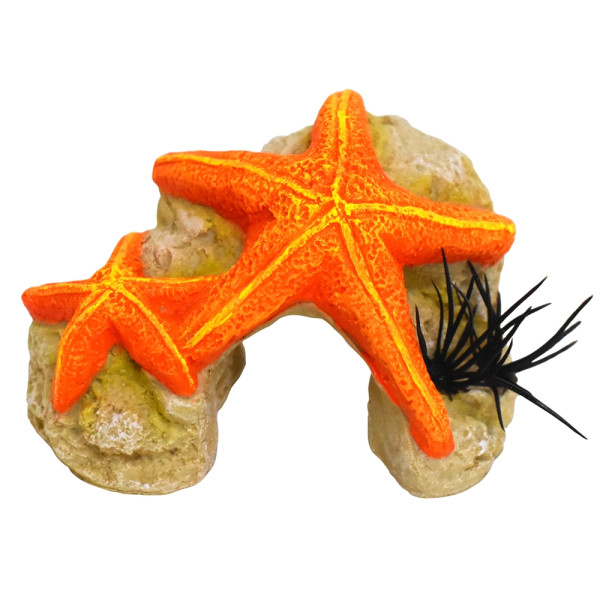 Aqua Ornaments "CORAL STONE WITH STARFISH" with plants