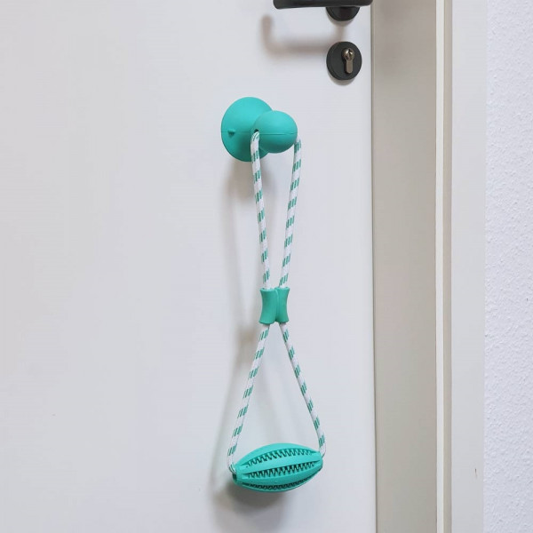 Solid rubber toy
with mint flavour