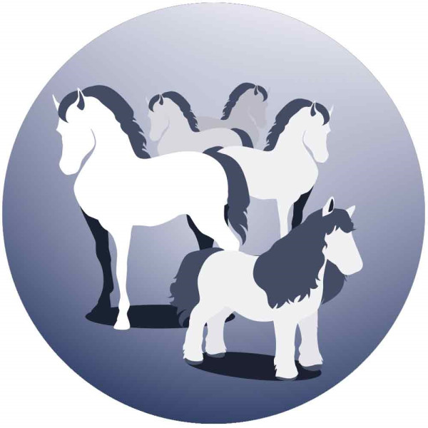 "Eclipse"Schneidemaschine