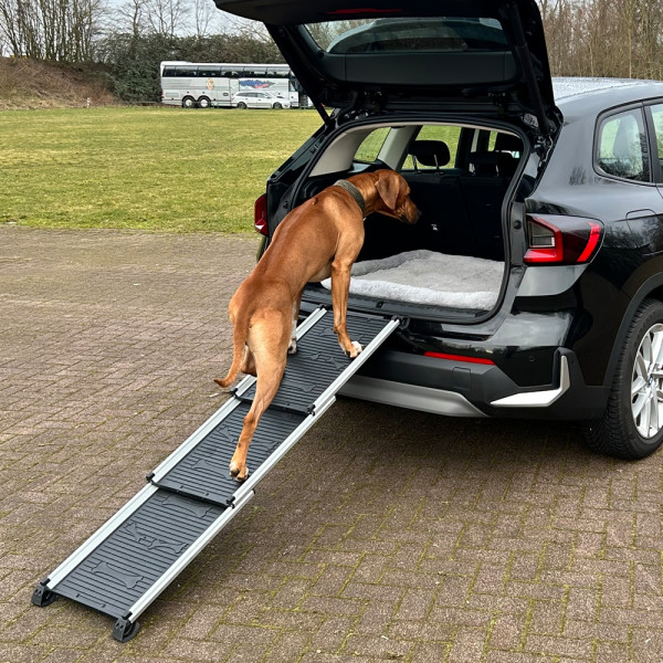 aluminium telescope ramp