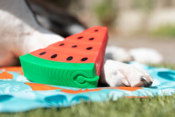 Nobby Silicon Watermelon "ICE"