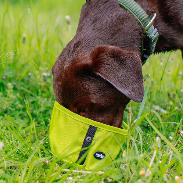 Travelling bowl "RIO"