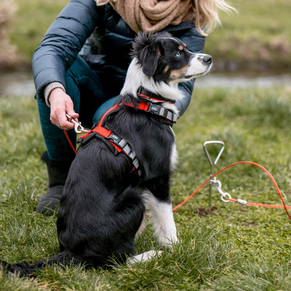Spiral stake and bolt snaps