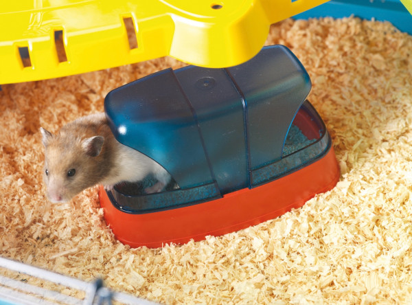 Hamster toilet and toilet spoon