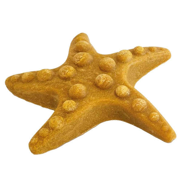 StarSnack Barbecue Chicken Starfish