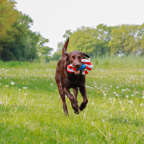 Floating toy with rope