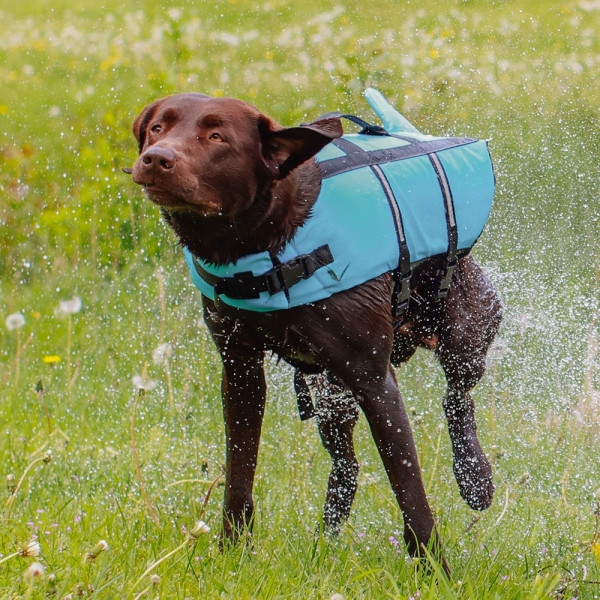Schwimmhilfe "Sharki"