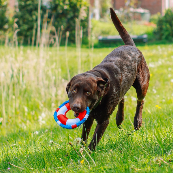 Floating toy with rope