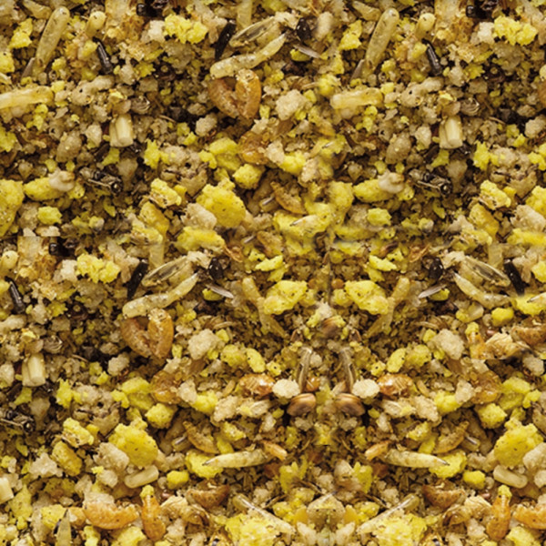 NutriBird Gold Crumble Sittich