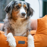 : Comfort bed : Comfort bed "Cumba"