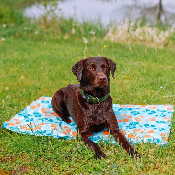 Nobby Cooling Mat "Flower"