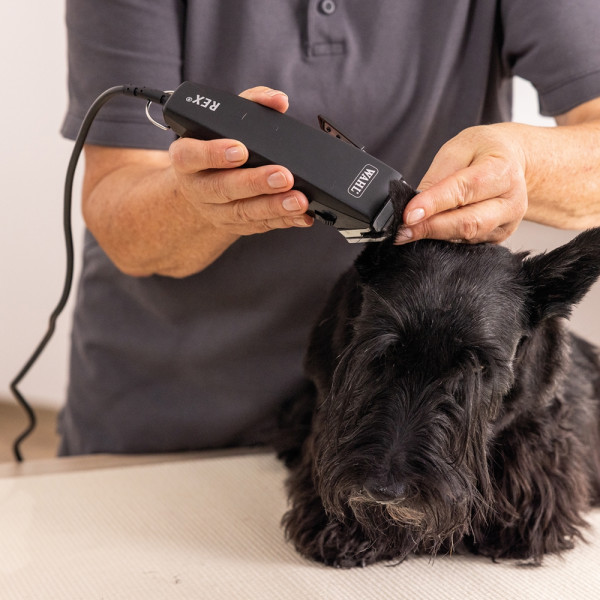 Schermaschinenset Rex 1230