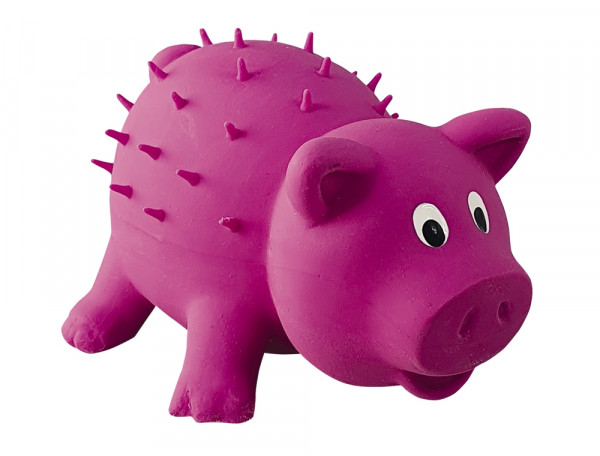 Latex Schwein