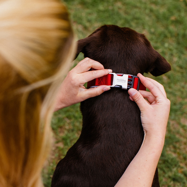 Halsband "Classic Preno Royal"