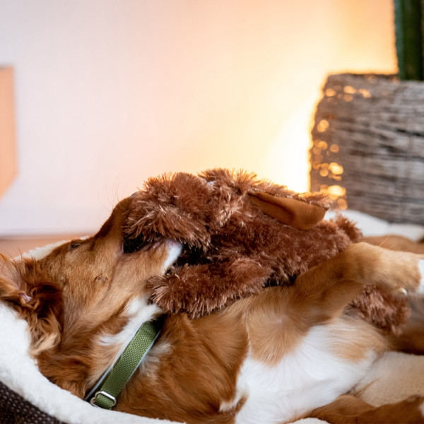 Plush Dog "Schlappi"