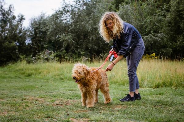 Training leash "Classic"