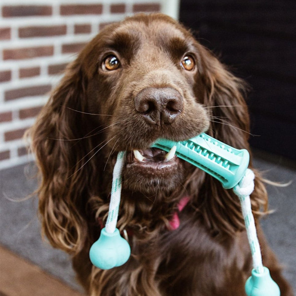 Rubber stick with rope "DENTAL LINE"