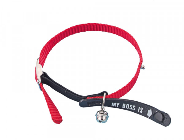 Address Cat collar "My Boss is"