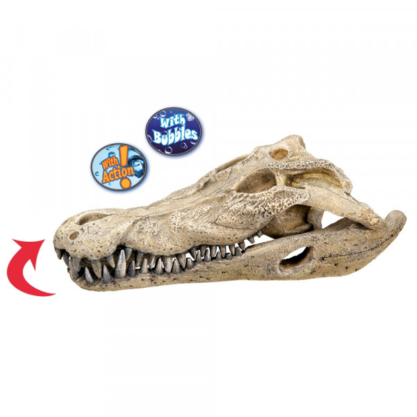 Aqua Ornaments "CROCODILE SCULL"
