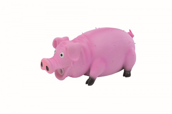 Latex pig