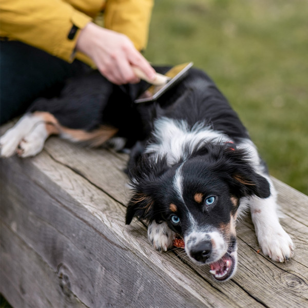 Nature Line slicker brush