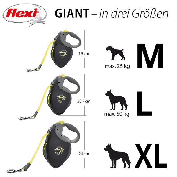 flexi Giant L Professional 10 m