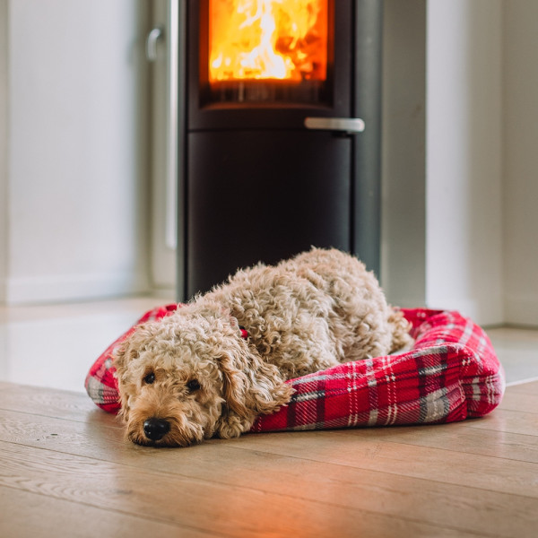 XMAS Komfort Bett eckig "KARELI"