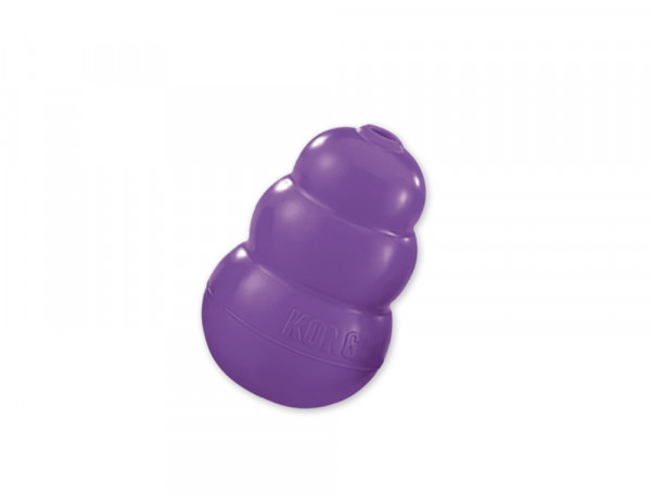 Senior Kong