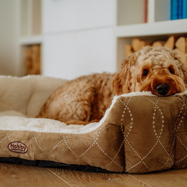 Comfort bed oval "CENO"