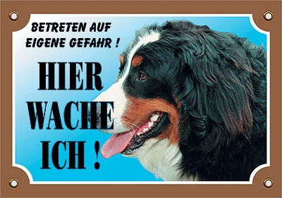 Warntafel Berner Sennenhund