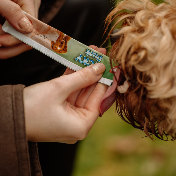 StarSnack LICKY Duck