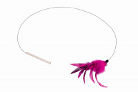 "Cat Bounzer"  "Cat Bounzer"