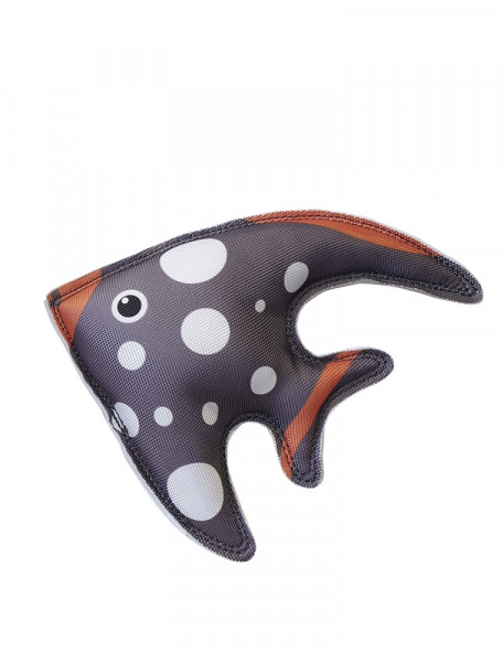 Fish "Floating"