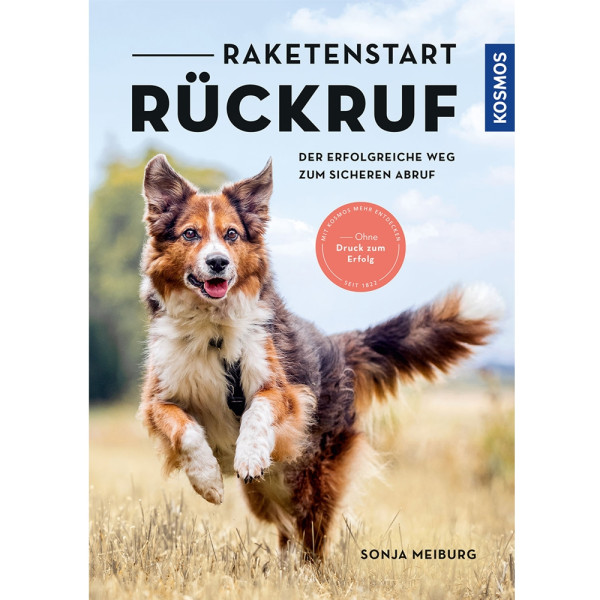 Raketenstart Rückruf