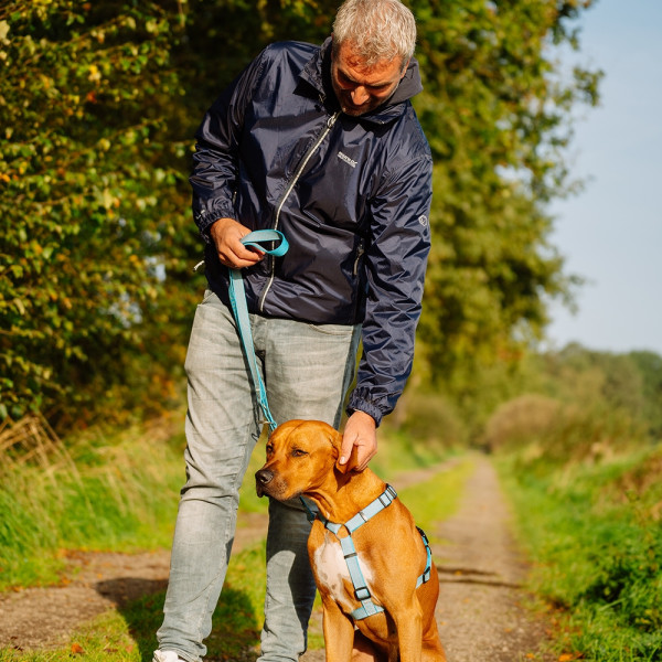 "Full Reflect" Harness