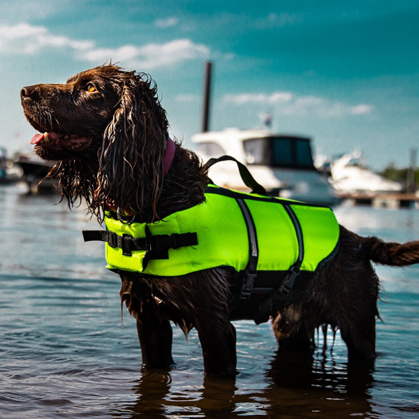 Hunde Schwimmhilfe