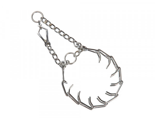 Spike choker with buckle