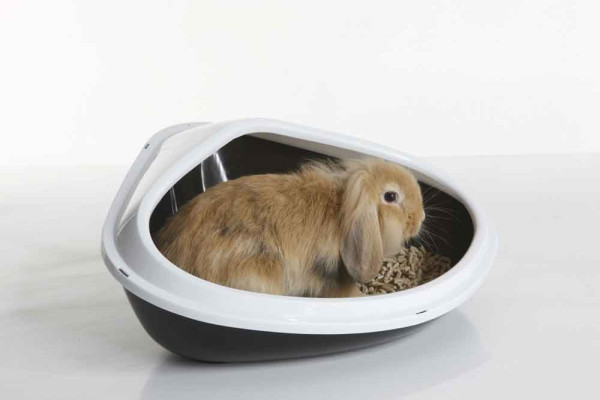 Corner toilet "Concha"