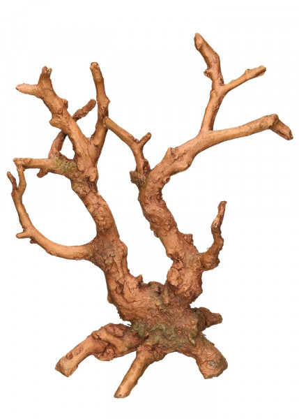 Aqua Ornaments "Root"
