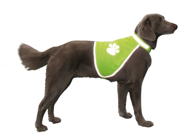 Safety vest