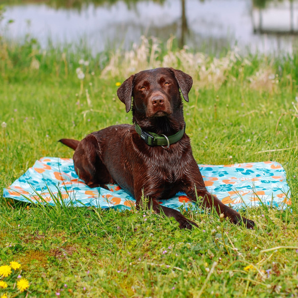 Nobby Cooling Mat "Flower"