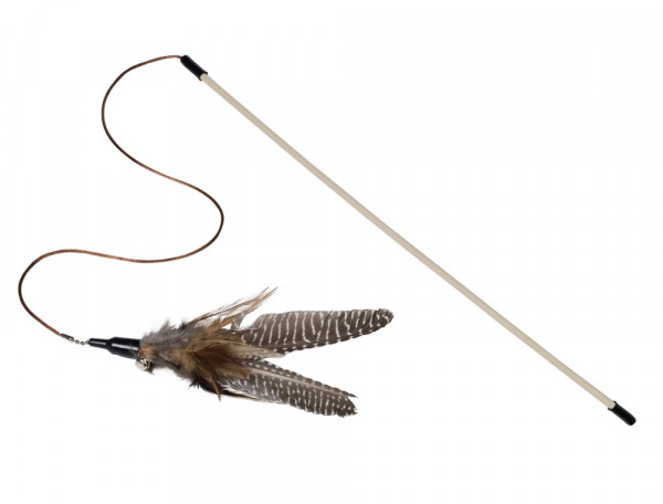 Rod with feather