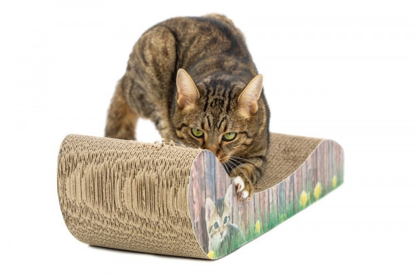 Nobby Kratzbrett "Lounge"