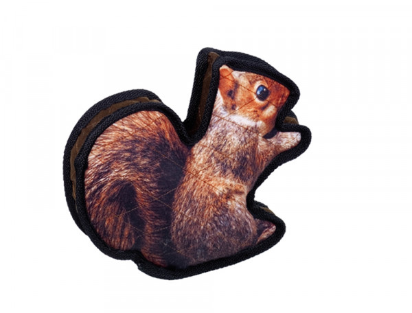 Plush SQUIRREL fillable