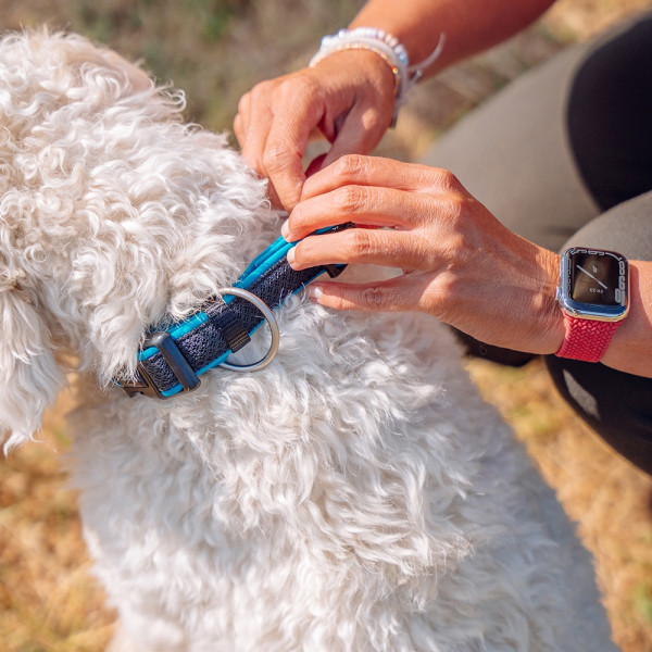 Training leash "Variado"