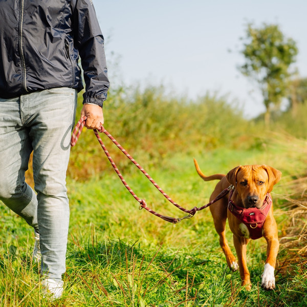 "Sporty" lead leash
