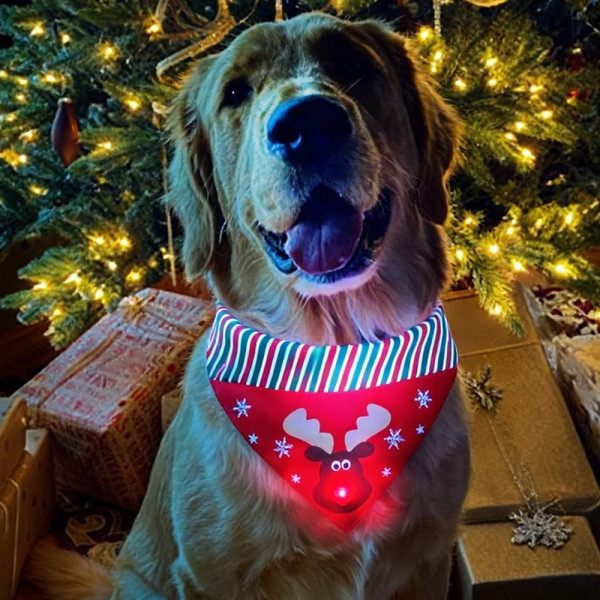 XMAS Halstuch "RED NOSE"
