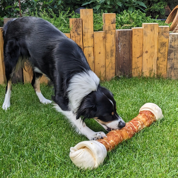 StarSnack BBQ Chicken Knotted Bone